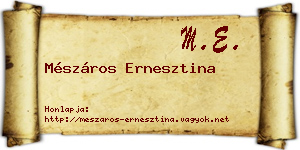 Mészáros Ernesztina névjegykártya